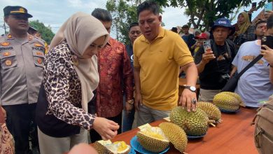 Bupati Pekalongan Fadia Arafiq Buka Festival Durian Doro