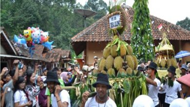 Lolong Culture Festival, Sediakan 2024 Durian Gratis Dalam Kemasan
