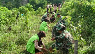 Ciptakan Lingkungan Yang Hijau Dan Asri, 500 Bibit Pohon Ditanam Di Kecamatan Bojong